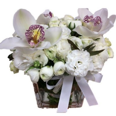 מריק פלוס סחלב